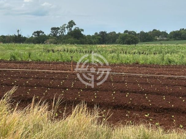 Área de Terra Mata Verde