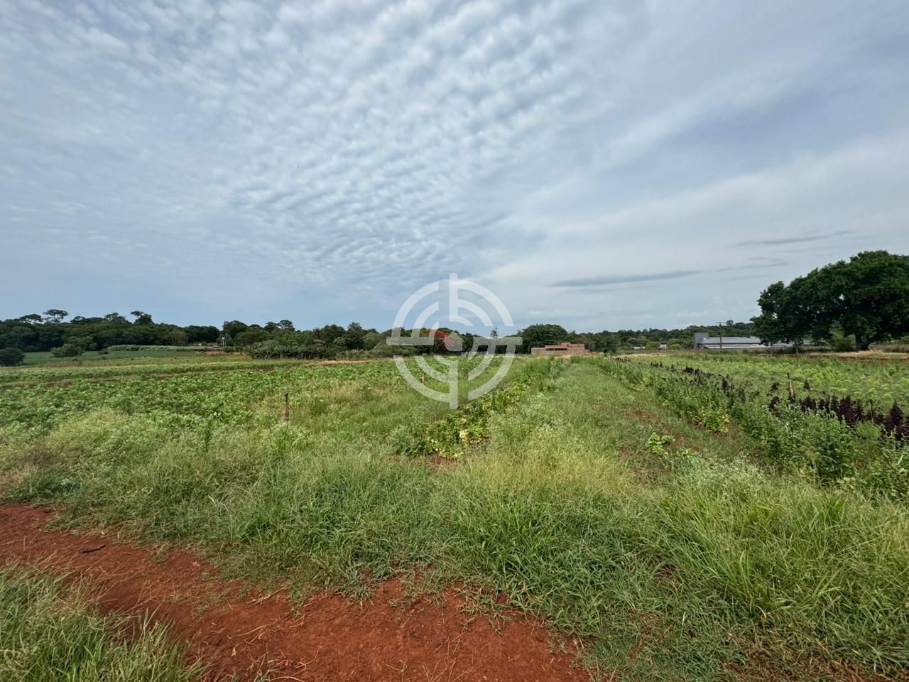 Área de Terra Mata Verde