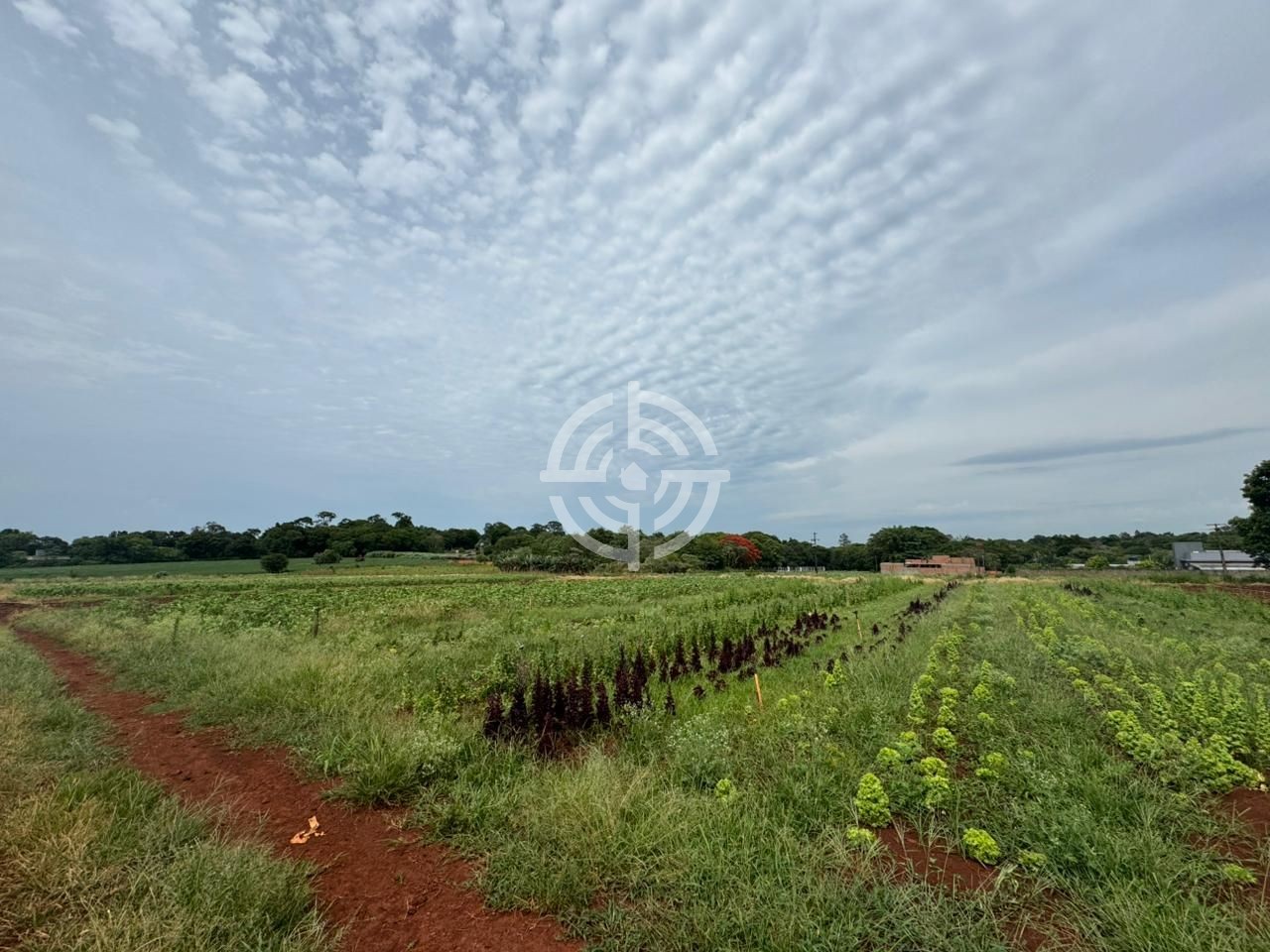 Área de Terra Mata Verde