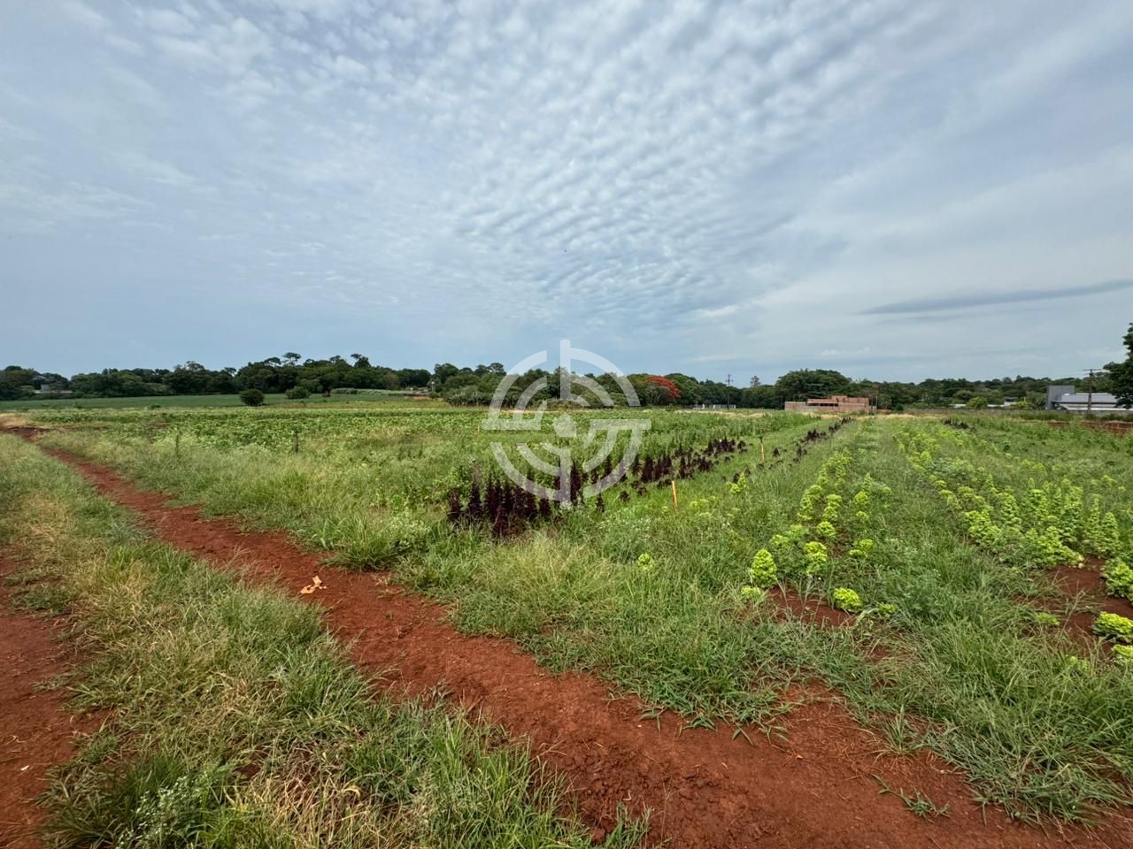 Área de Terra Mata Verde