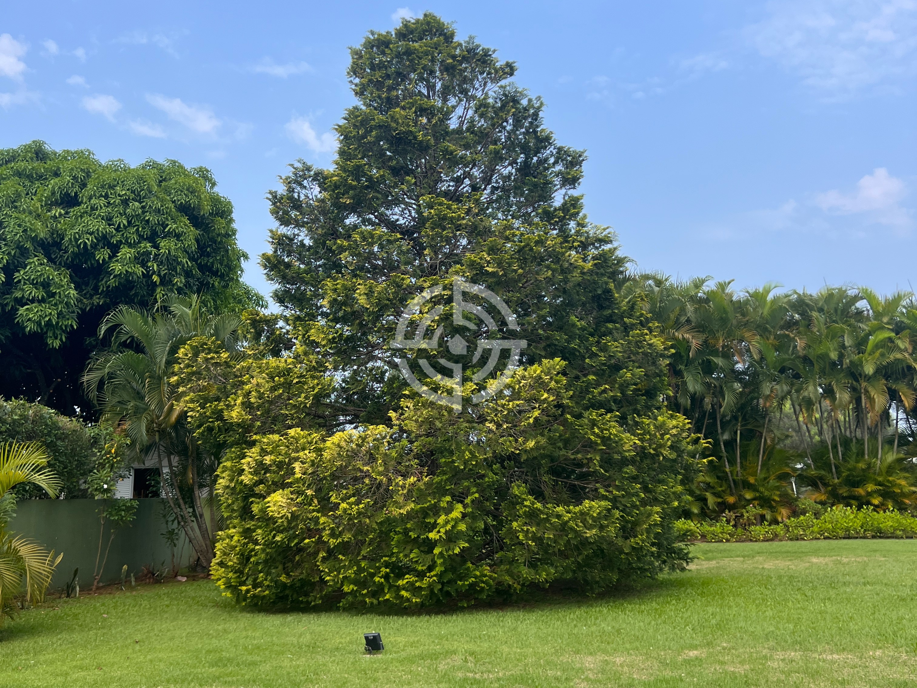 Casa com 4 suítes à venda, 600 m² por R$ 4.200.000 - Condomínio Chácara Natureza - Foz do Iguaçu/PR