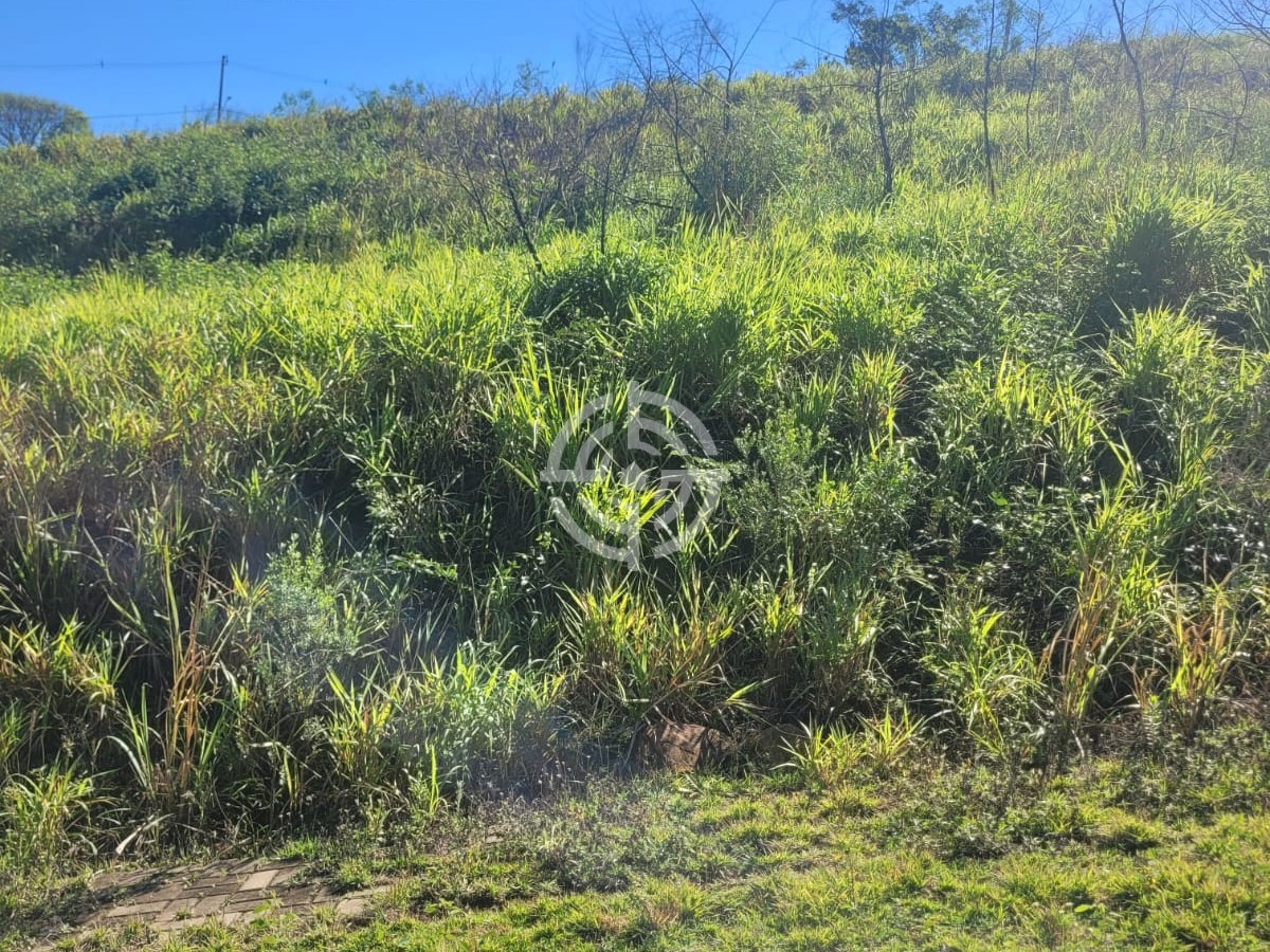 Terreno Ecoville 1